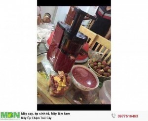 Máy Ép Chậm Trái Cây