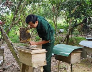 Mật ong giá lẻ bằng giá sỉ