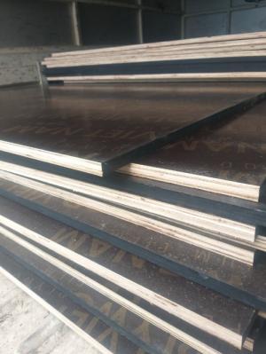 Ván ép phủ phim giá rẻ tại Hà Nội