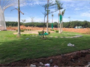 Đất Chánh Phú Hoà giá rẻ 700tr/nền. LH 0383388744