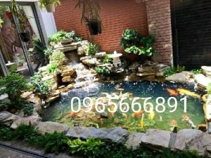 Hồ cá koj_hòn non bộ