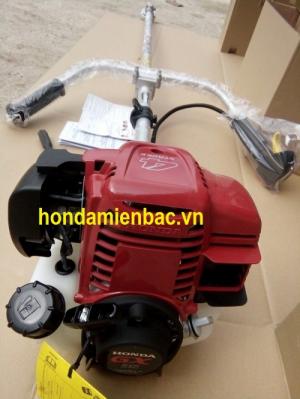 Bán máy cắt cỏ honda nhập khẩu nguyên chiếc gx25-UMK425