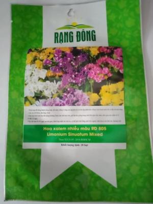 Hạt giống hoa Xalem mix nhiều màu Rạng Đông