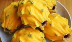 Giống cây Thanh Long vỏ vàng ruột vàng