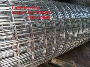 Sản xuất lưới thép hàn làm dàn Lan D3, D4 ô 50x50 hàng sẵn kho giá ưu đãi