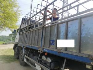 Ván ép phủ phim chất lượng A1 chuẩn nhất thị trường