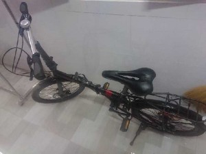 Xe đạp gấp LowCacbon Đen