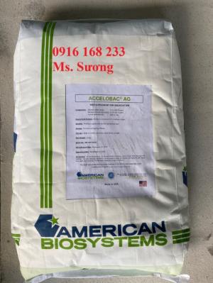 ACCELOBAC – Vi sinh bột xử lý đáy ao