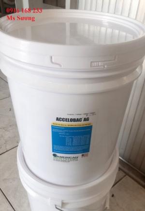ACCELOBAC – Vi sinh bột xử lý đáy ao