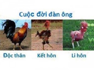Dư không dùng nữa ah chị em ai cần qua em lấy về dùng nha.