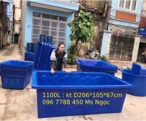Thùng nhựa 1100 lít nuôi cá cảnh LHe 0967788450 Ngọc