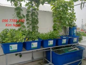 Thùng nhựa 1100 lít nuôi cá cảnh LHe 0967788450 Ngọc