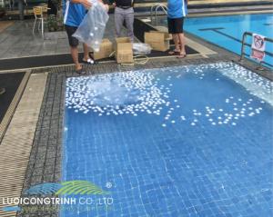 Banh Golf Nổi