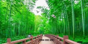 Tranh dán tường 3d rừng tre trúc