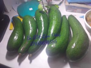 Bơ 034 Lâm Đồng 0938691586