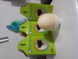 Trứng đà điểu tươi