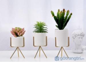Chậu cây cảnh để bàn trang trí nhỏ xinh GHS-6542