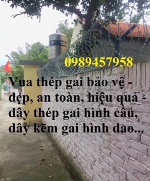 Nơi bán Dây kẽm lam - dây thép gai hình dao giá tốt