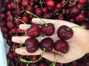 Trái cây các loại