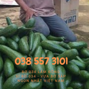 Vựa bơ 304 Lâm Đồng, sỉ lẻ gọi 0385573101