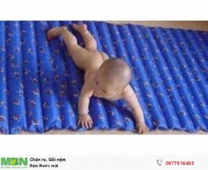 Đệm Nước mát loại to