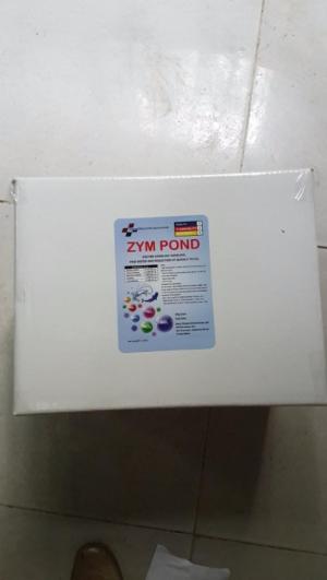 Phân phối men vi sinh zym pond nguyên liệu