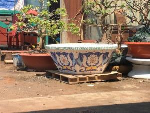 chậu hoa dán sành sứ Thế Sơn