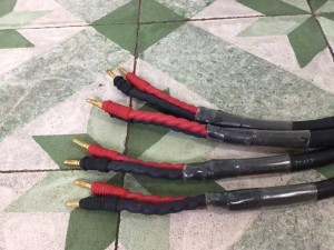 Tân Audio Biên Hoà Dây Loa (ITALY)