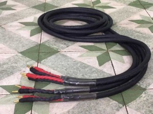 Tân Audio Biên Hoà Dây Loa (ITALY)