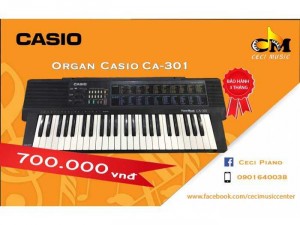 Organ Casio CA301 likenew 90%