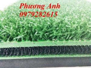 Thảm tập golf 3D