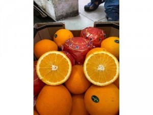 Cam vàng Ai Cập