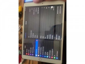 Ipad pro 10”5 inch 2017