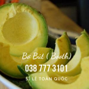 Bơ Booth Bơ Bút Lâm Đồng Gọi 0385573101 #VuonNhaDaucó giao Tại TPHCM sỉ lẻ