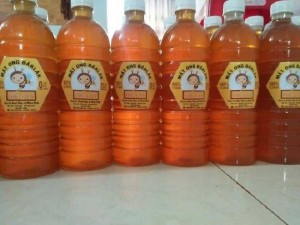 Mật ong Đăk Lăk