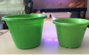 Chậu nhựa trồng cây - Chậu hoa nhựa Thakico