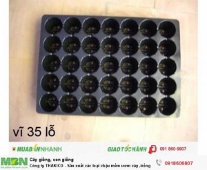 Công ty THAKICO - Sản xuất các loại chậu mềm ươm cây, trồng lan hồ điệp và vật tư nông nghiệp