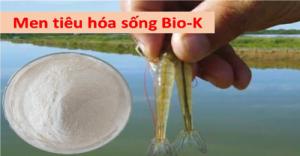 BioK chuyên cung cấp men tiêu hóa nguyên liệu cho các công ty, đại lý thủy sả