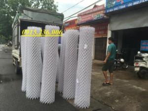 Lưới B40 bọc nhựa khổ 1m, 1,2m, 1,5m, 1,8m, 2m hàng sẵn kho