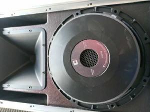 Loa CELESTION BASS 25 made in italy