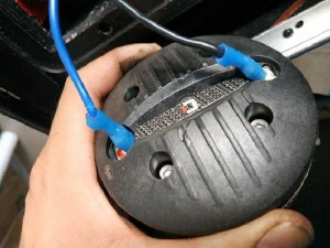 Loa CELESTION BASS 25 made in italy