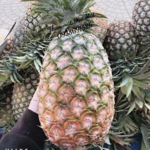 Thơm mật trái 3kg