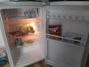Tủ lạnh sanyo 90l