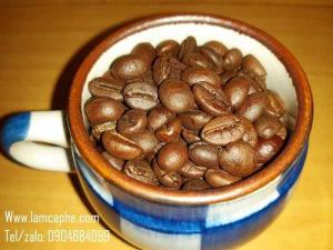 cà phê hạt robusta