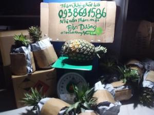 Thơm mật Thơm Không Rát Lưỡi trái 2,5kg