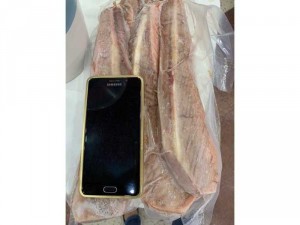 LƯỜN CÁ NGỪ ĐẠI DƯƠNG TƯƠI NGUYÊN MIẾNG