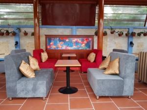 Sofa nhà hàng ,sofa góc ,sofa bộ ....
