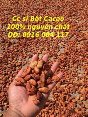Cung cấp sỉ lẻ bột Cacao nguyên chất daklak
