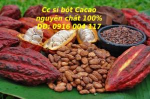 Cung cấp sỉ lẻ bột Cacao nguyên chất daklak