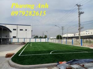 Thi công phòng tập golf mini